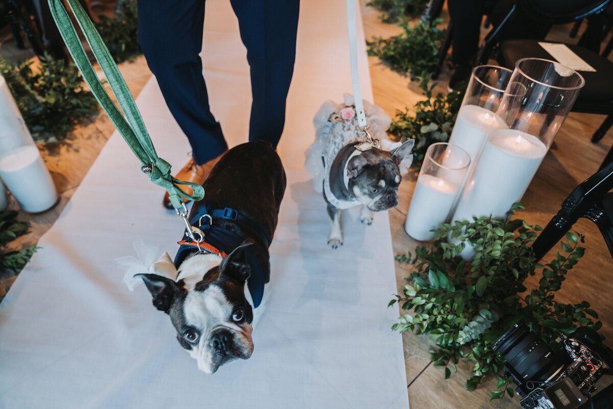 Maia-and-Daniel-Houston-Wedding-Planner-177