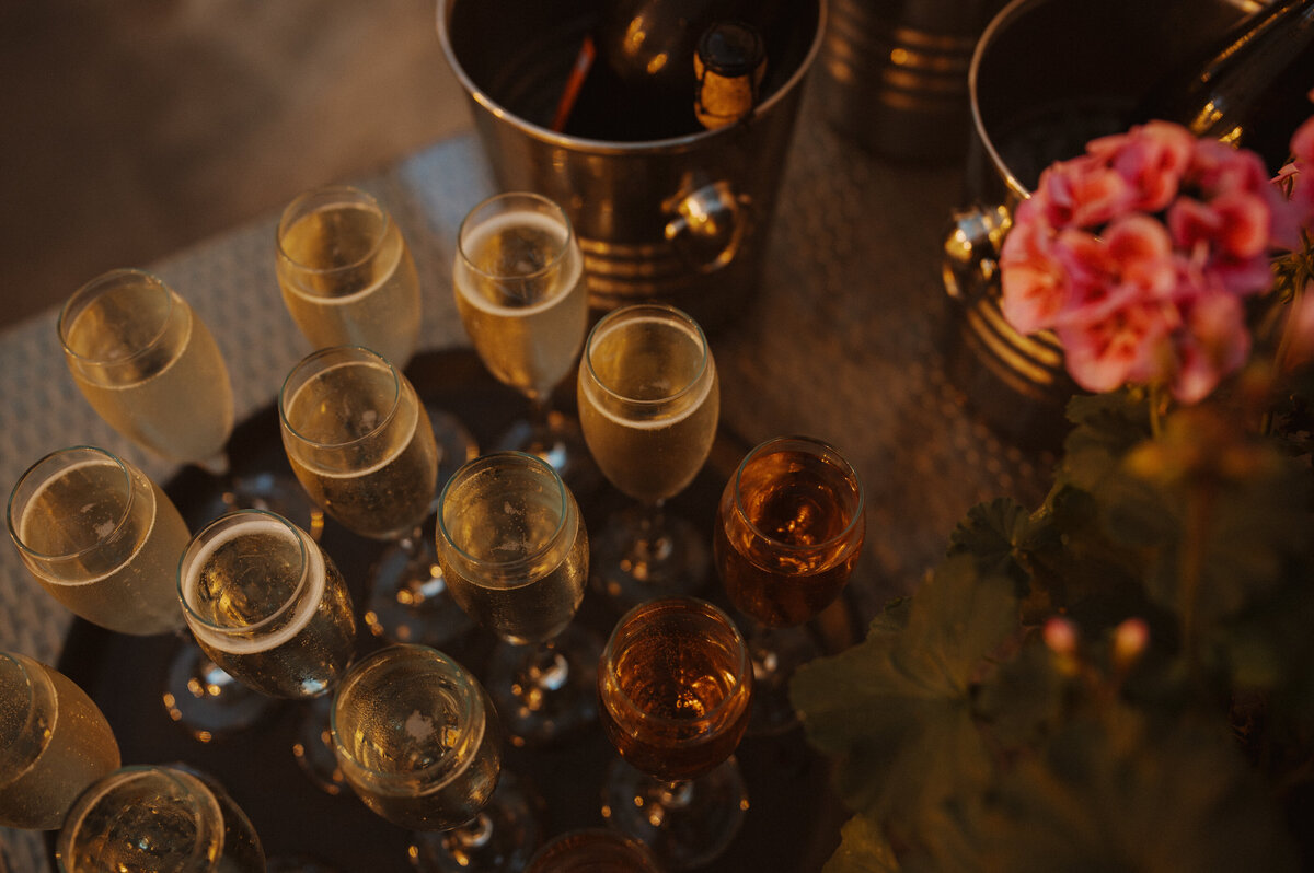 LittleDaisyPhotography-3650