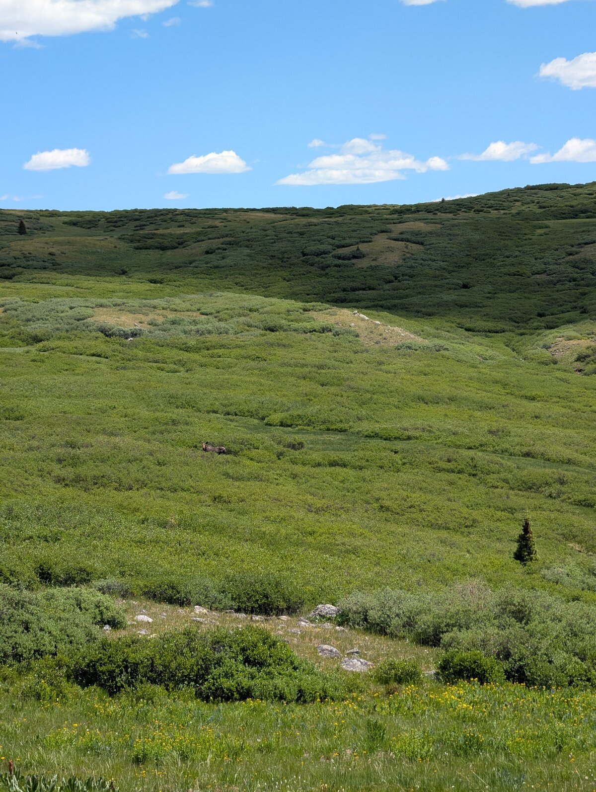 PXL_20250709_180612258.RAW-01.MP.COVER