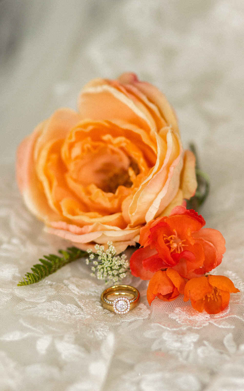 tampa-lakeland-orlando-wedding-photographer-engagement-madison-cole-photography-12
