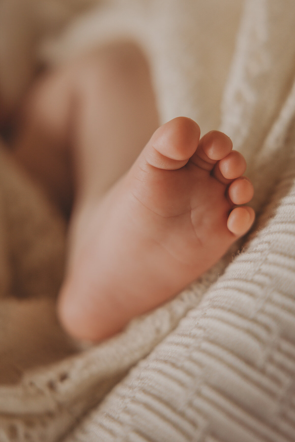 detail of foot of newborn baby captured by Bie in wanaka