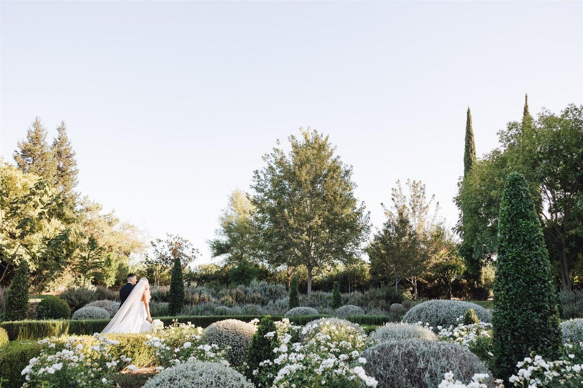park-winters-wedding-shauna-clay-ashley-carlascio-photography-0700