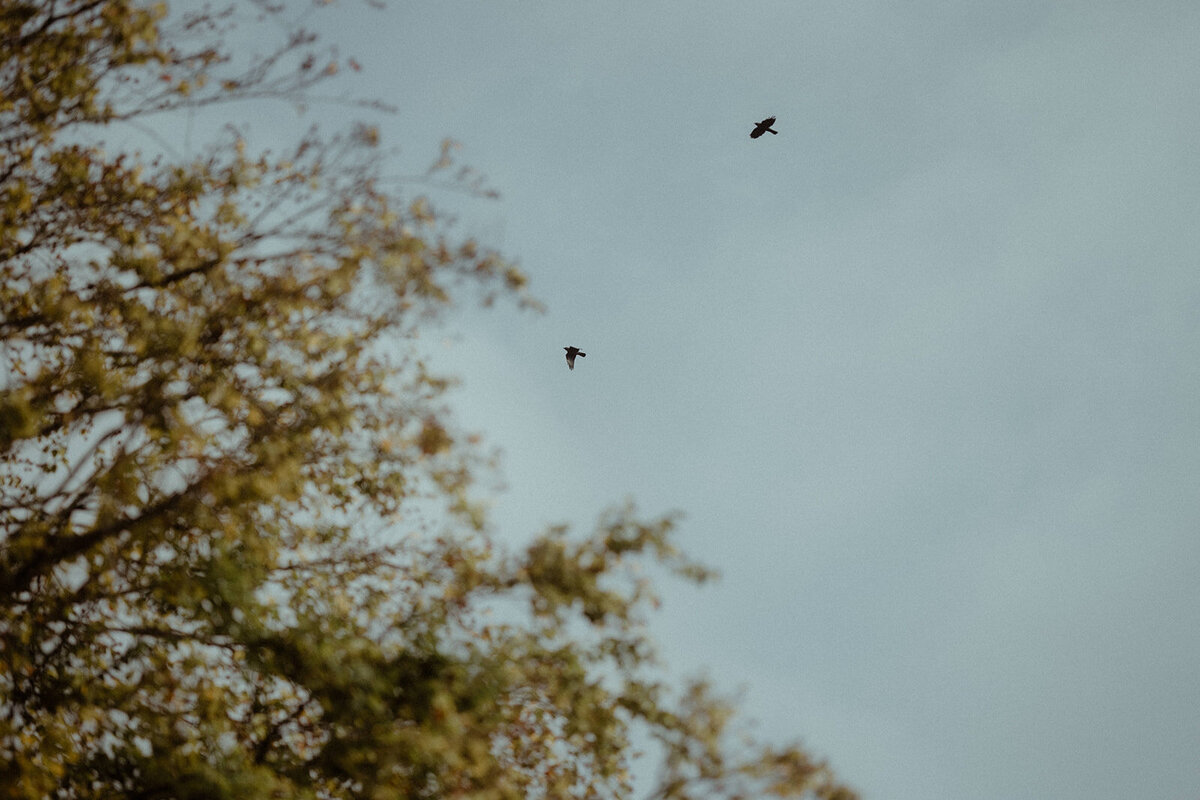 Mati Photography