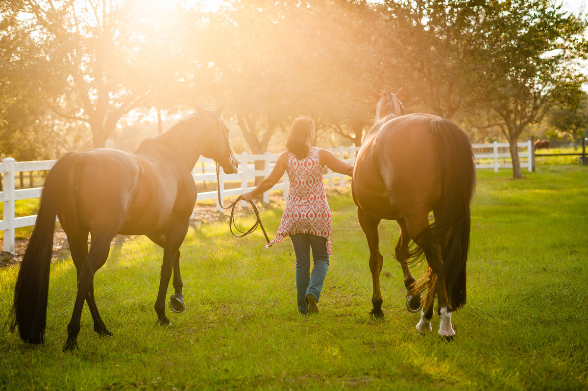 Equine Photography Daytona Beach