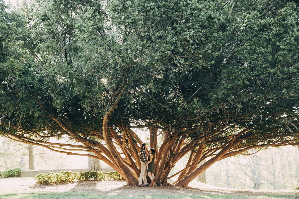 New Jersey Botanical Garden | Couple posing under tree during sunset engagement photo shoot | Ringwood, New Jersey