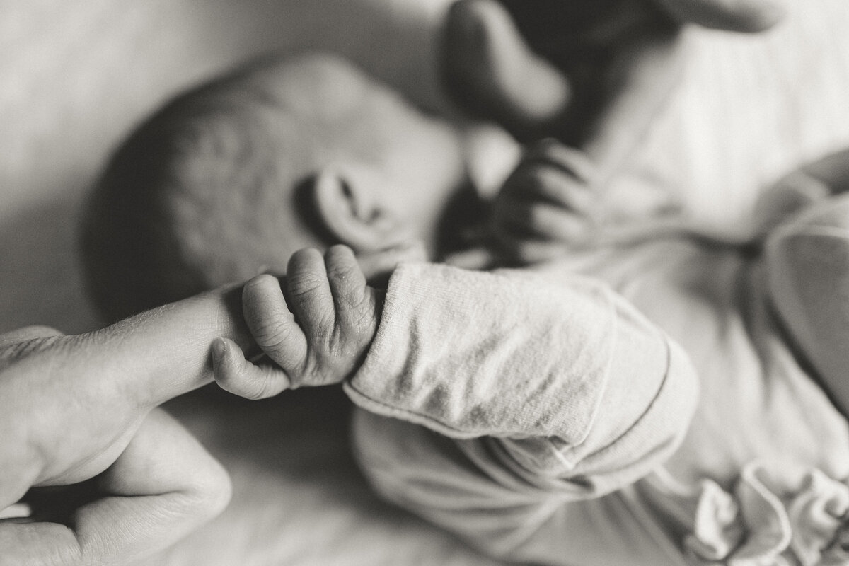 Mom and dad holding newborn babys fingers during in home newborn session in longmont colorado with alexis adkins photo