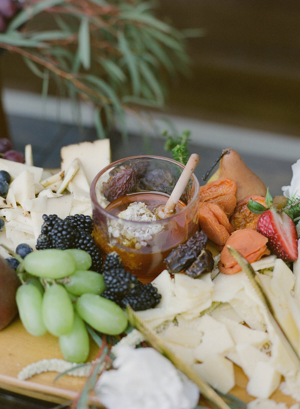 carmel-valley-wedding-welcome-dinner-photographer28