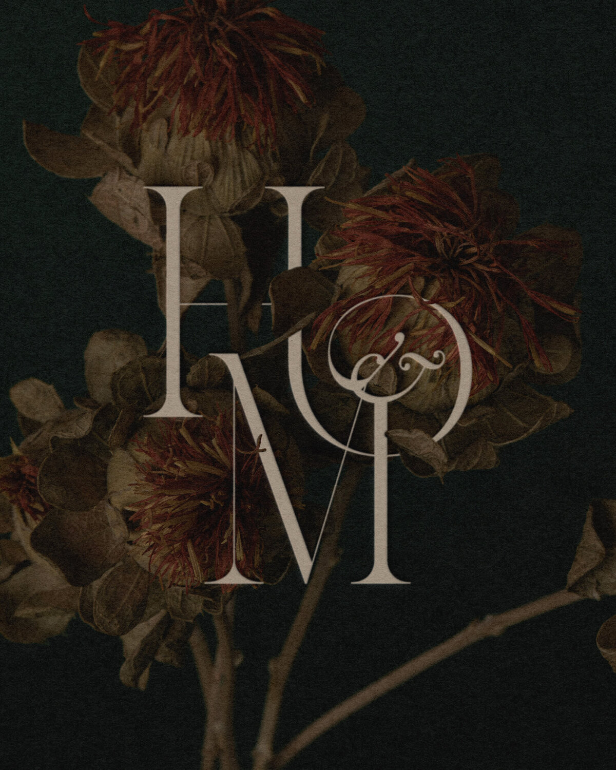 Honey and the Moon - 5