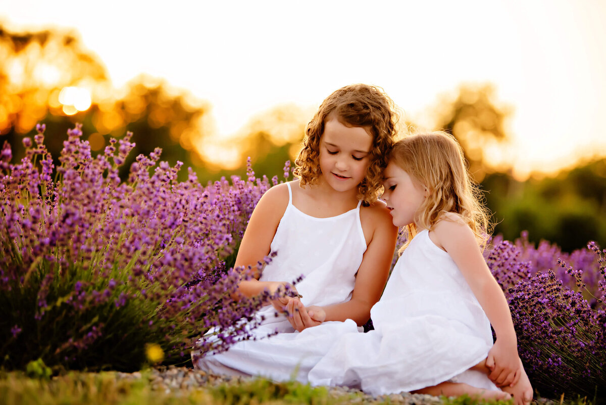 Two sisters wearing white dresses sitting on the ground in a lavender farm with the golden sunlight setting behind them.