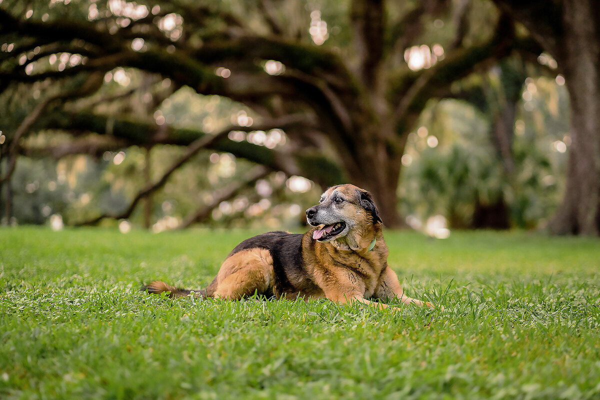 New Orleans Family Photographer 27
