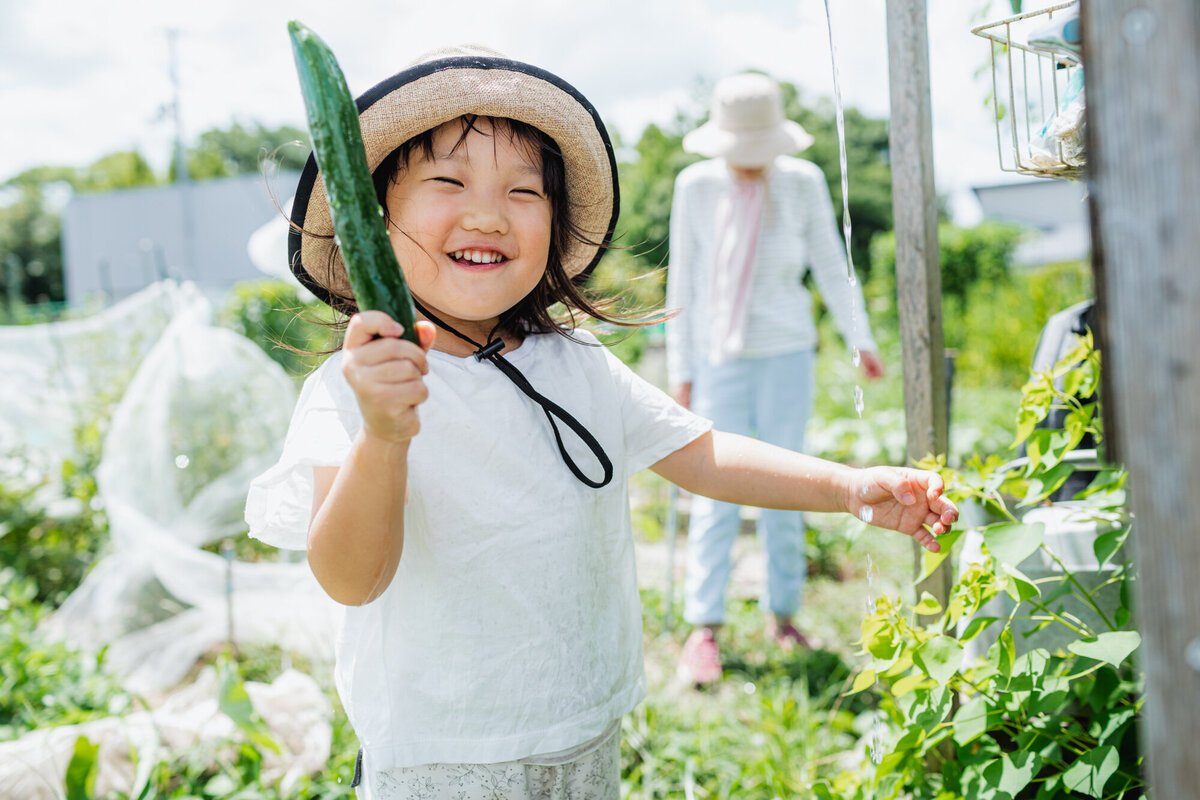 おじいちゃんの畑できゅうりを笑顔で収穫している様子