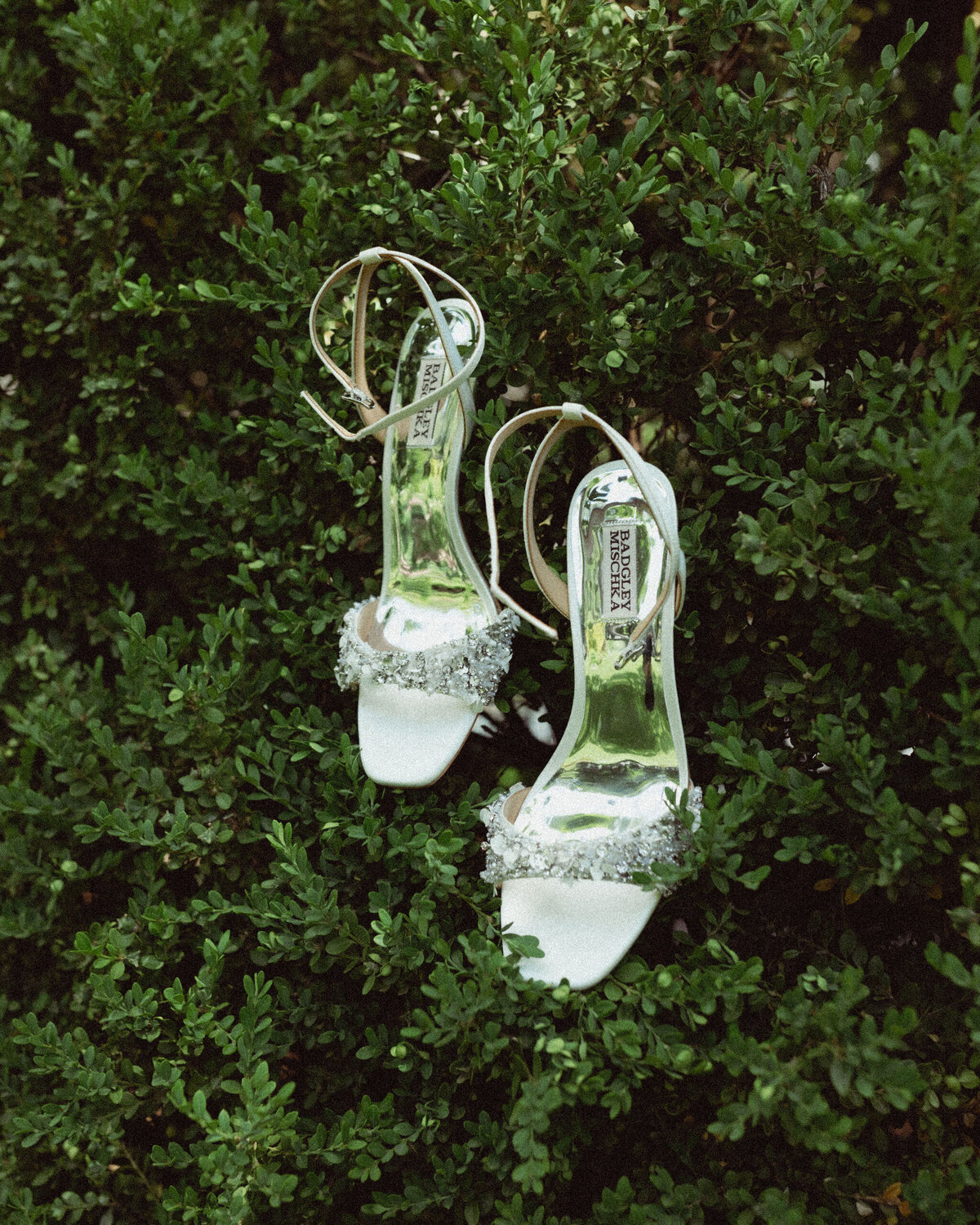 Mr.+Mrs.EhlersFinalSet-0761