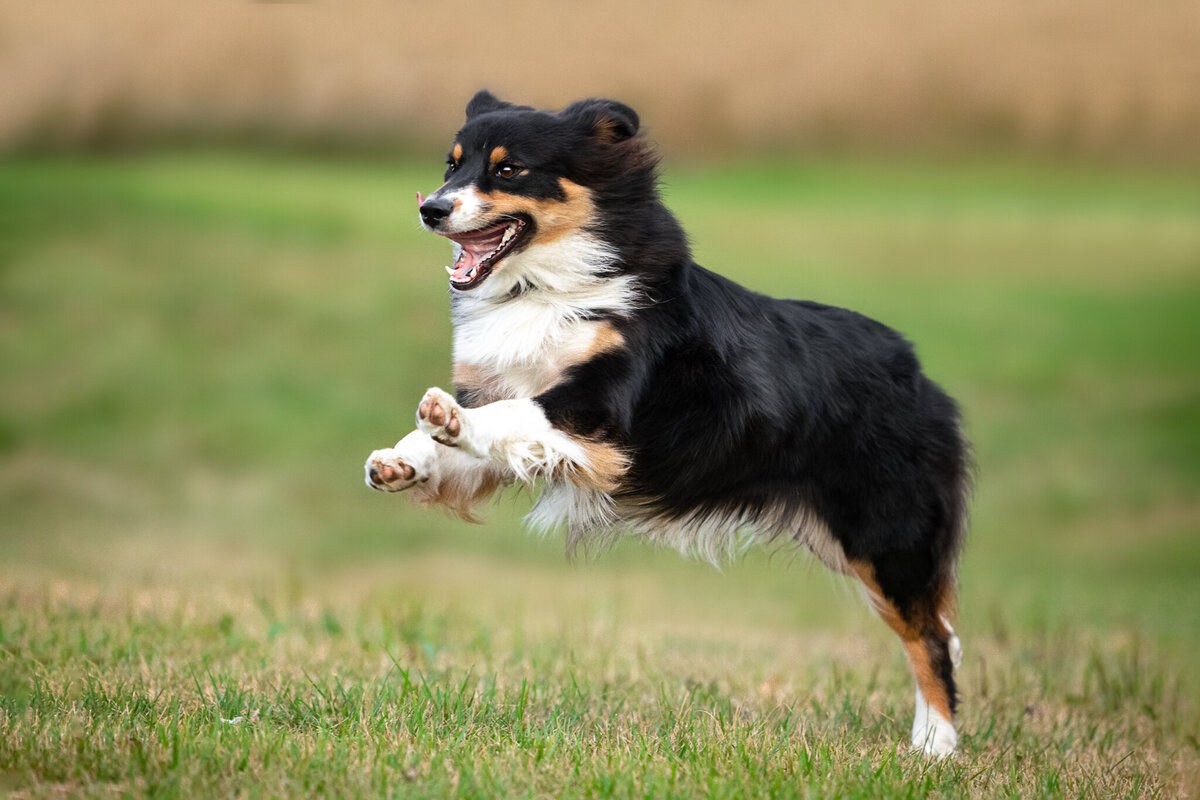 220730_Home-002418-Edit