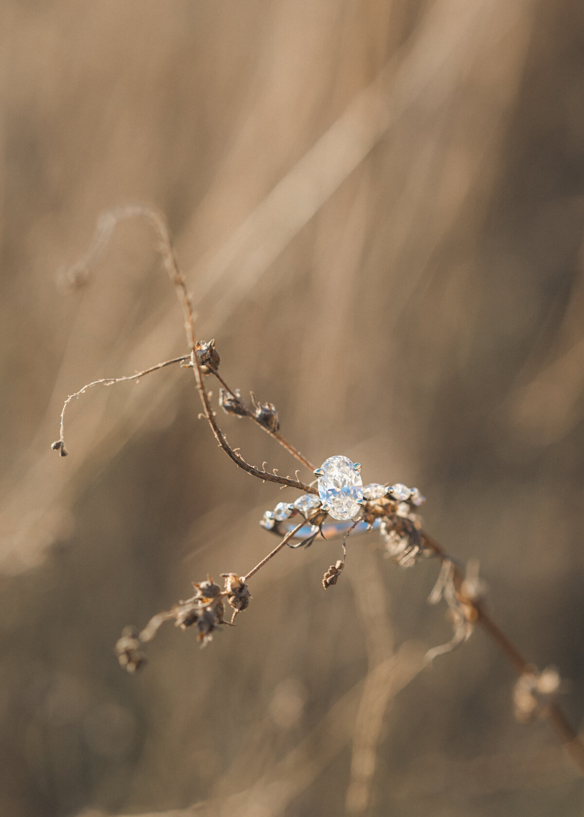 84-AME Photography KC 2023