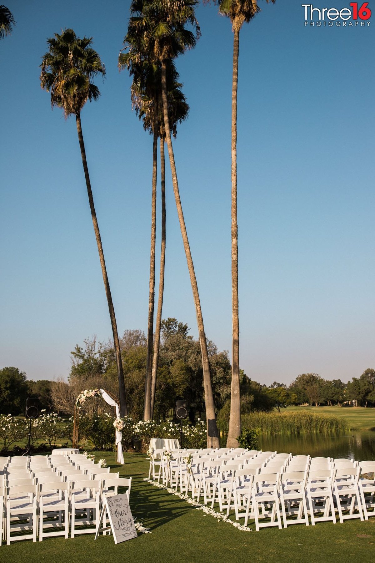Giant palm trees overlook outdoor wedding ceremony setup