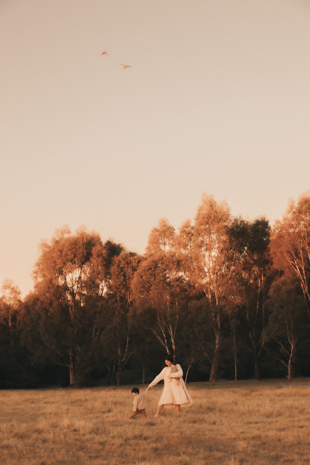 Family Photography Melbourne | Royal Park-53