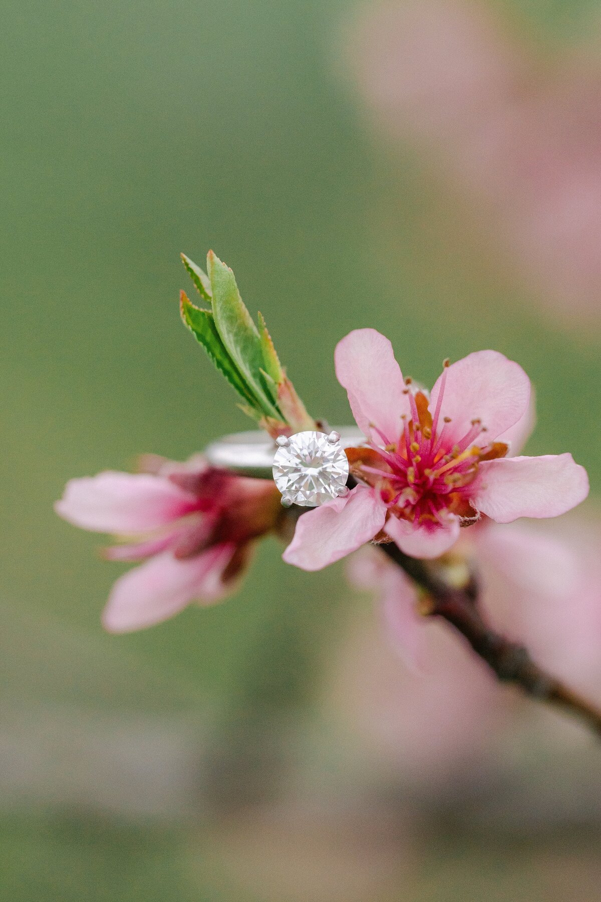 Engagement Portfolio_0034