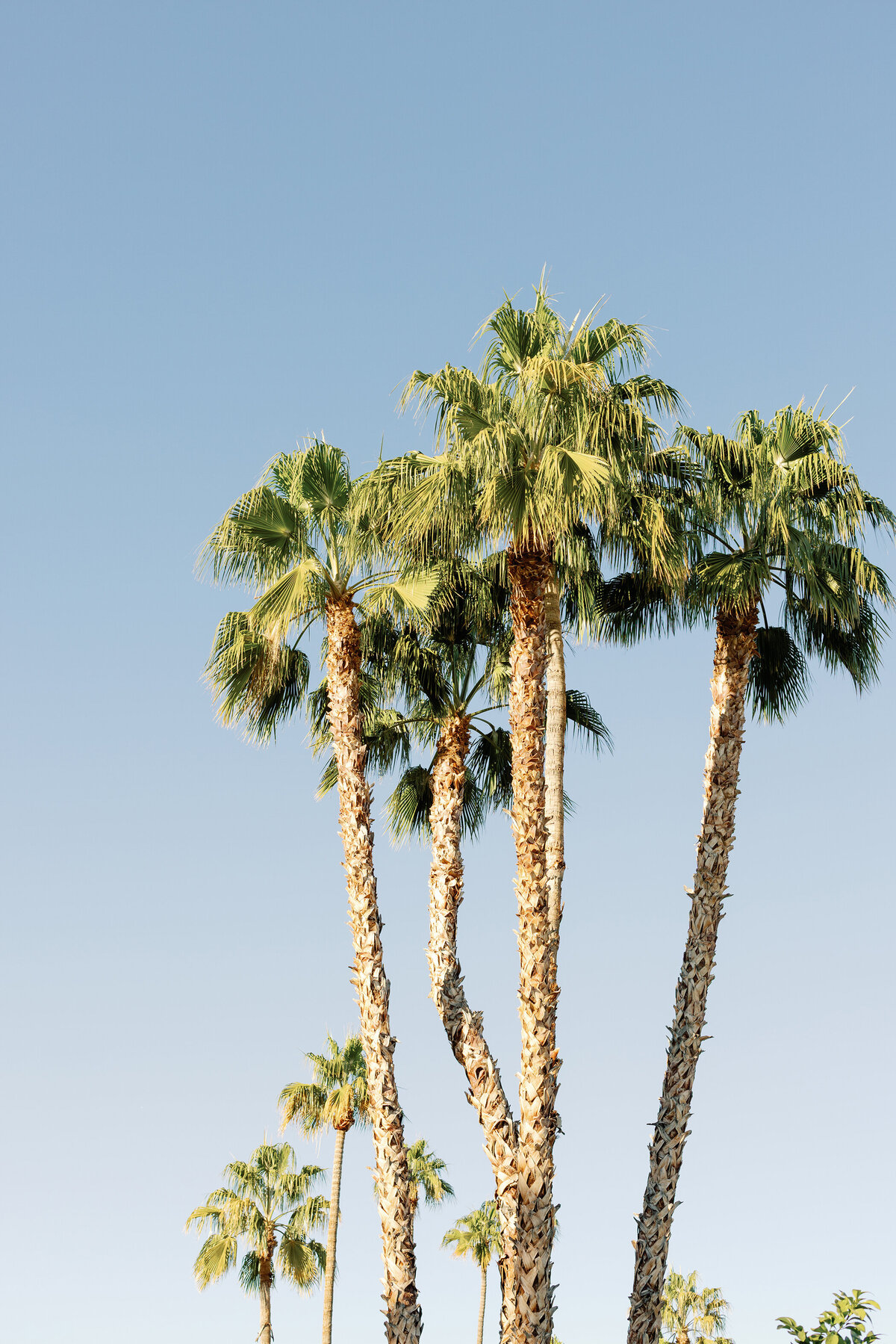 AdrianaKlasPhotography-872