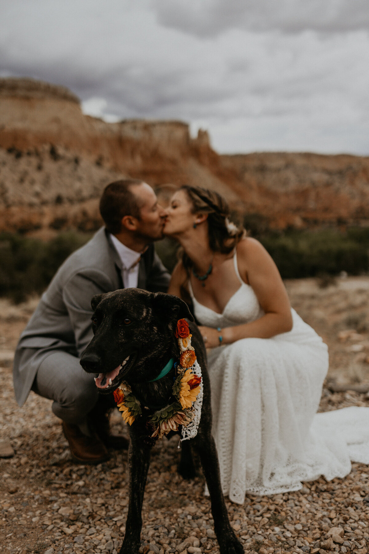 bride and groom with their dog wearing a flower collar