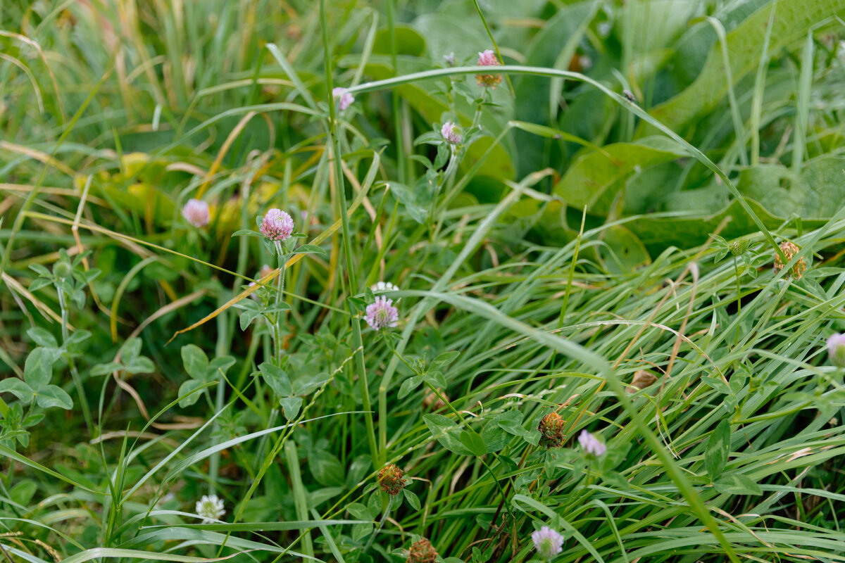 Rere_workeshop3-4-02.25-7312