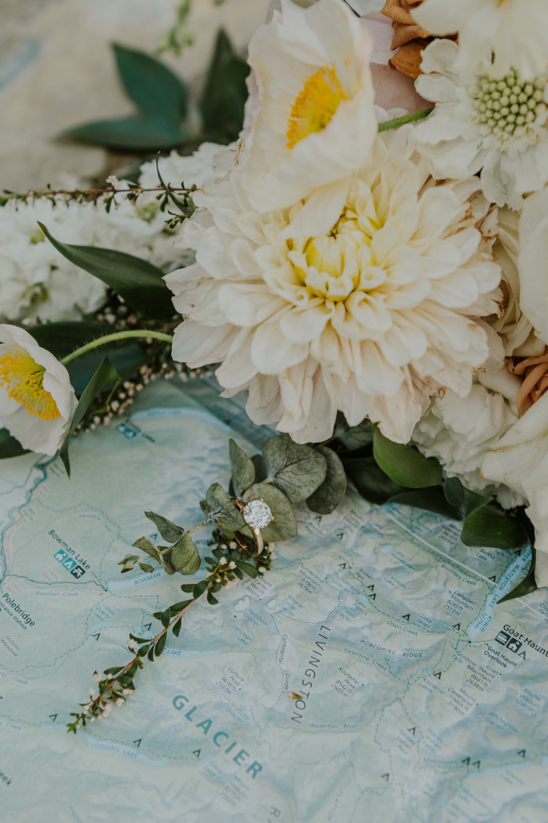 presley-gray-glacier-national-park-elegant-elopement-1238