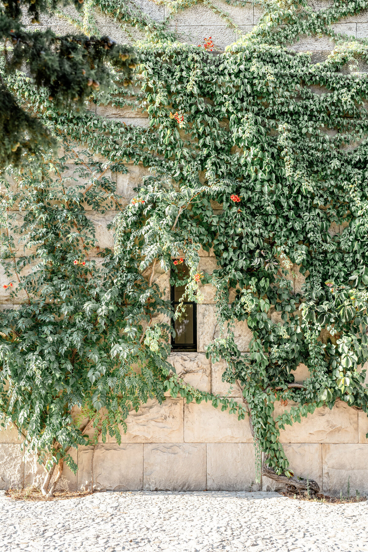 Croatia-wedding-Mestrovic-Gallery-Split-Victoria-Amrose-Photography (59)