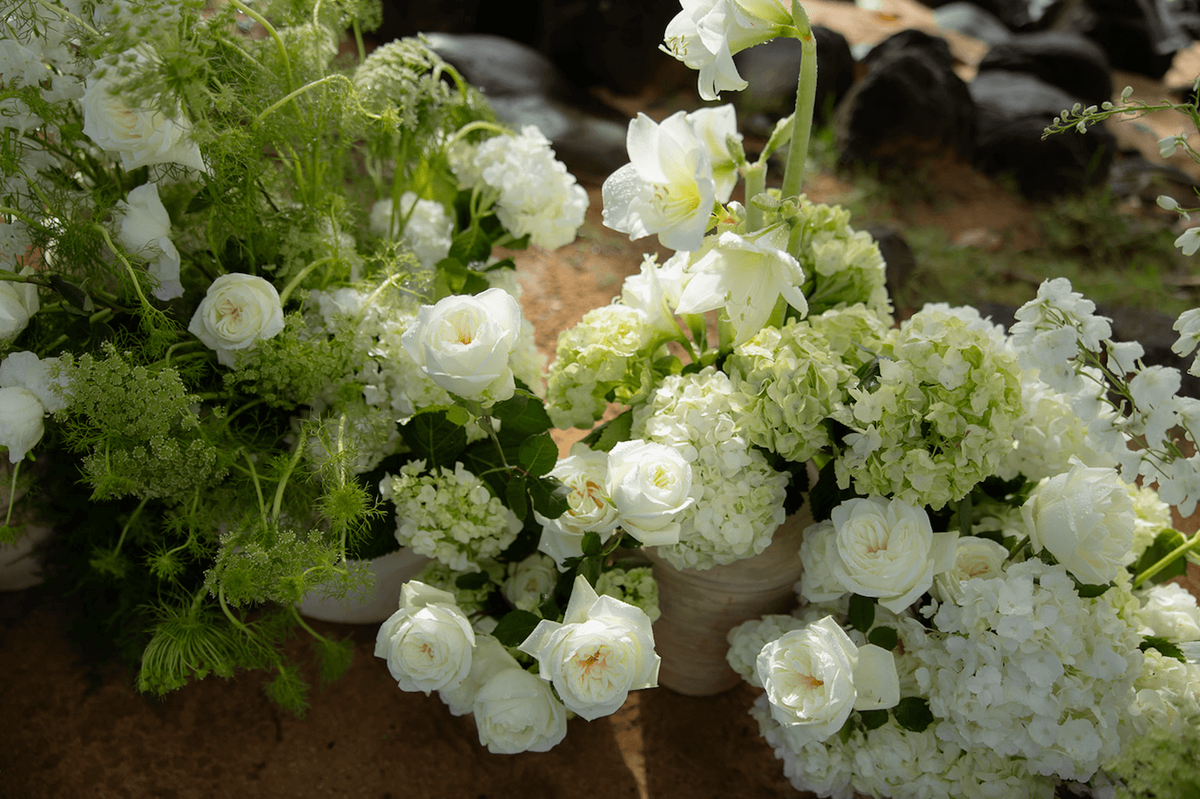 Screenshot 2025-11-25 at 12.17.58 PM