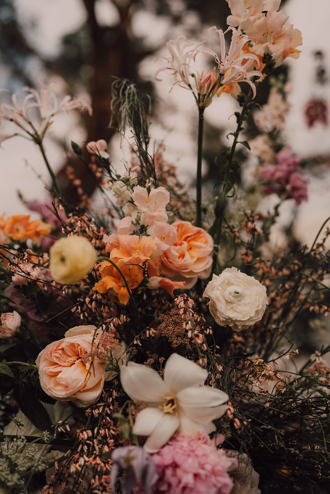 lou-ian-wedding-418