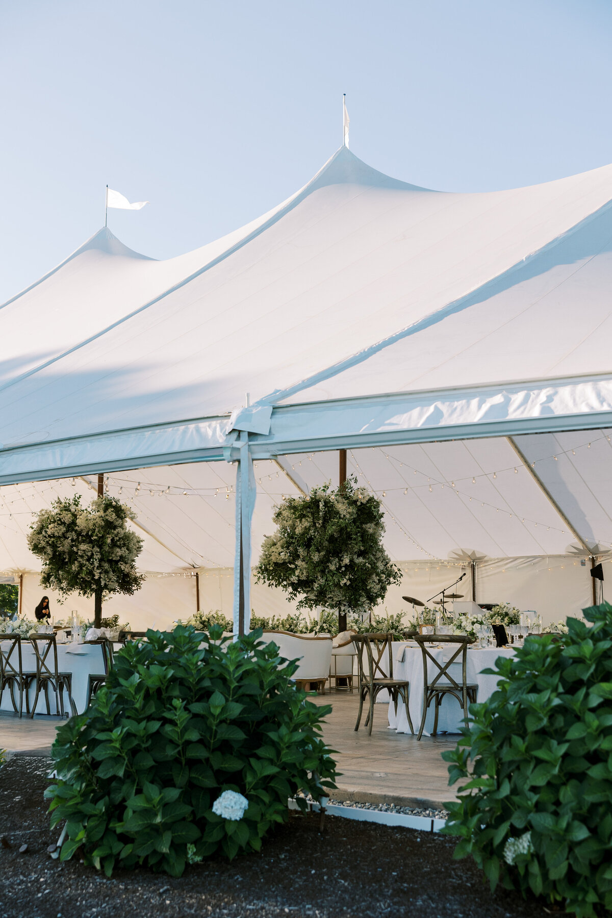 AO Reception Details_0003