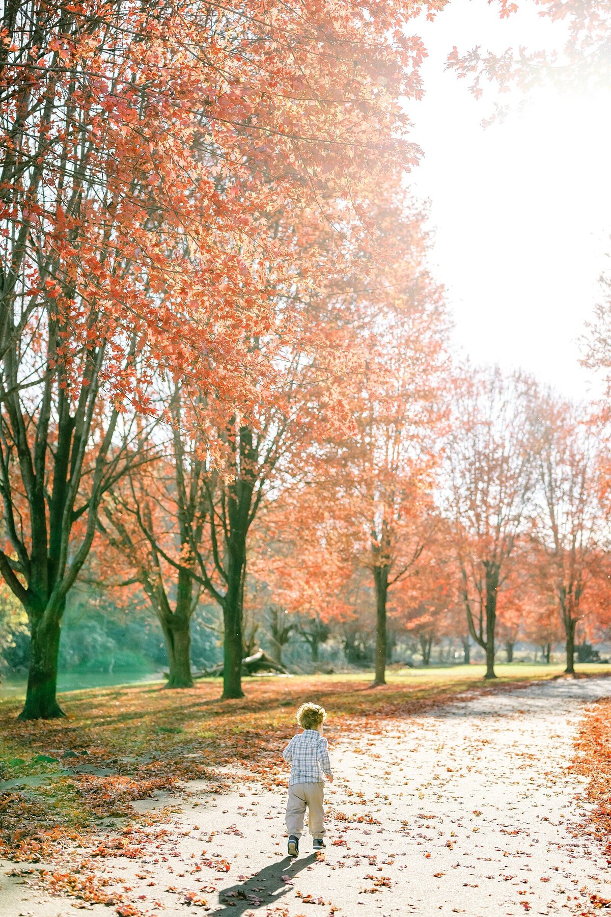 Megan Sheppard Photography Boone NC Wedding Photographer_0338