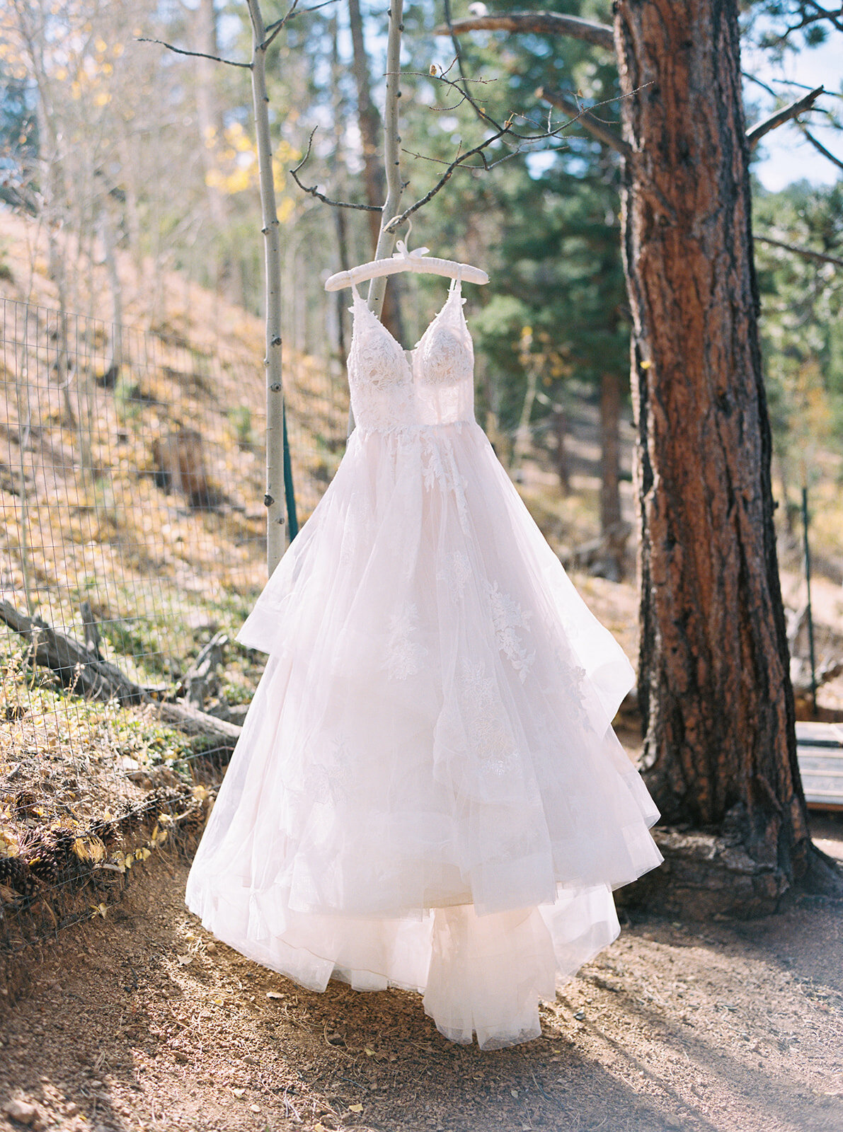 a wedding dress hanging up in the woods