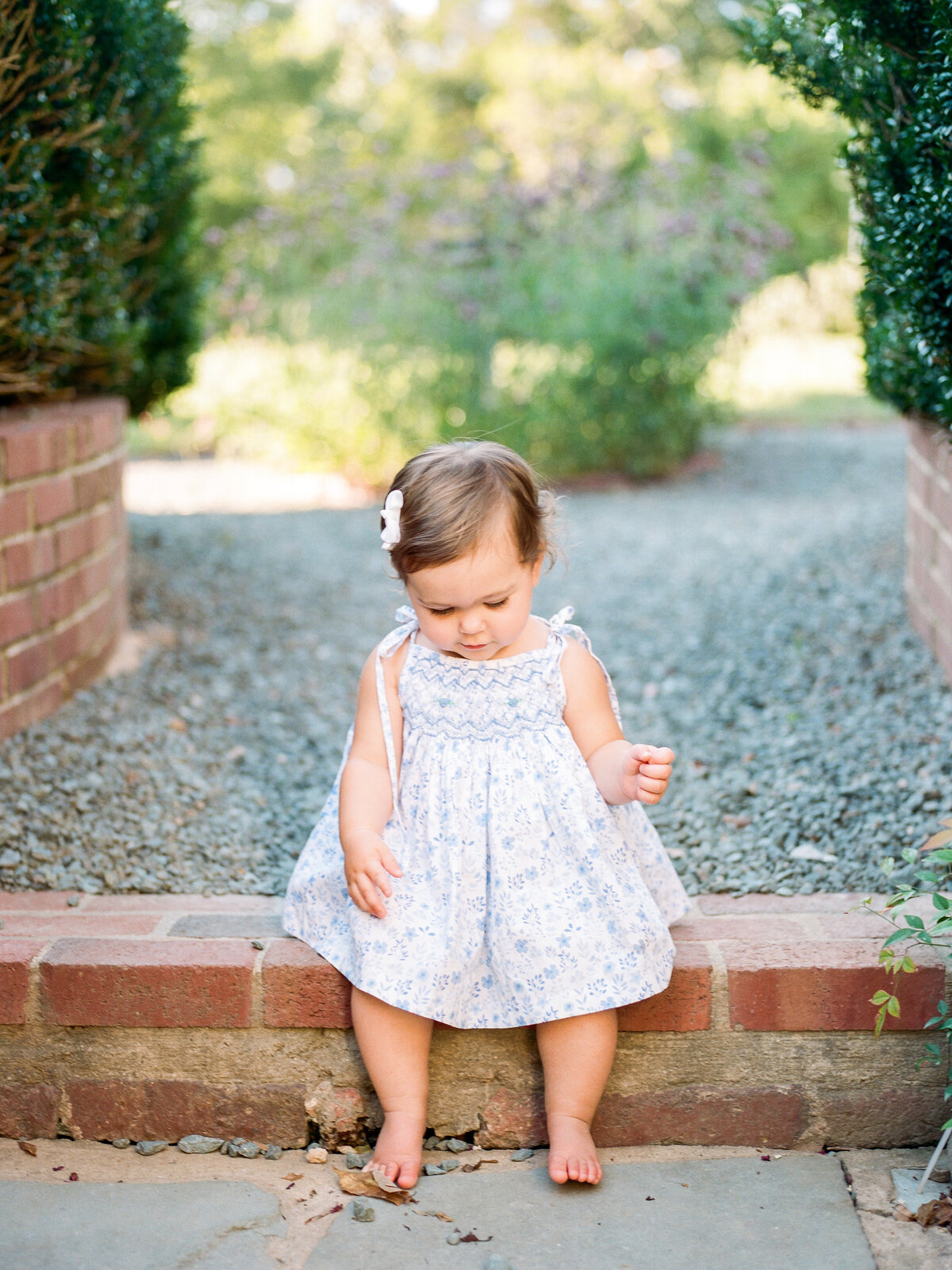 august-family-portraits-clifton-charlottesville-virginia-amy-nicole-photography-0127