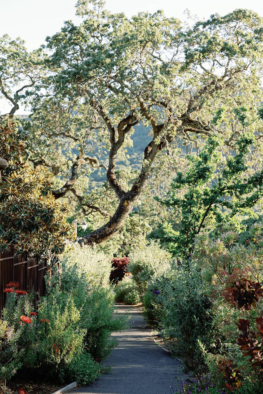 holman- ranch-carmel-valley-california-wedding-chelsea-brooke-events (1)
