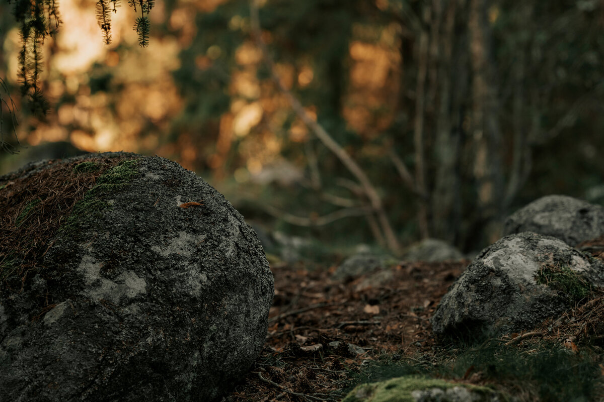 Landschaftsfotografie-reisefotografie-deutschland-schweden-14