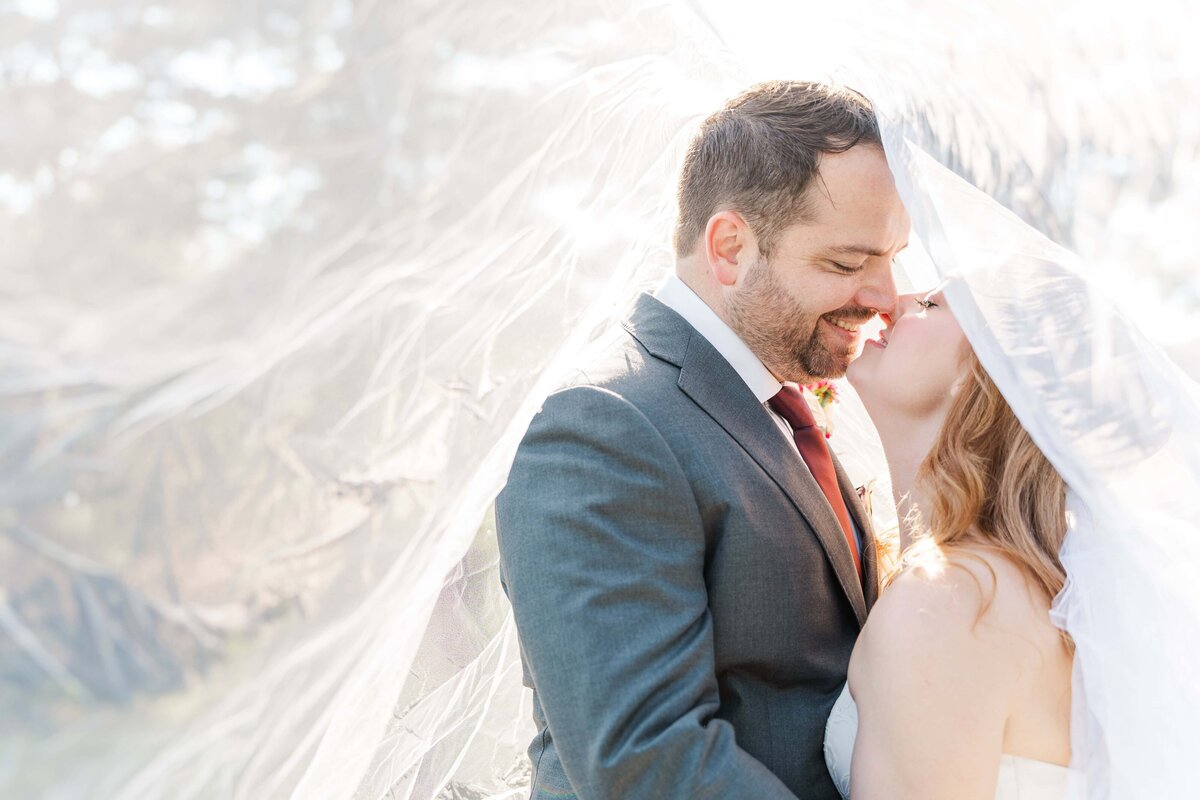 Natural light photos of bride and groom kissing under the veil