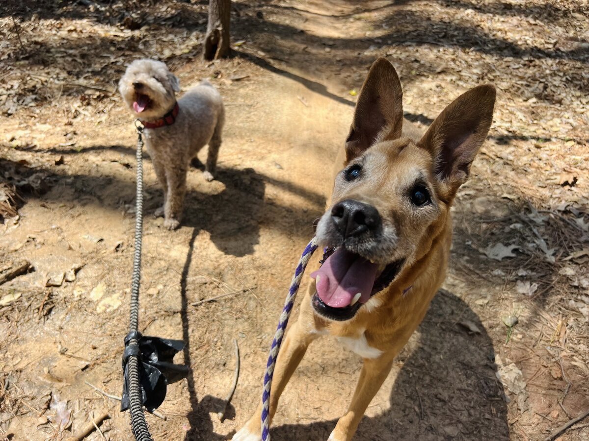 Hiking friends