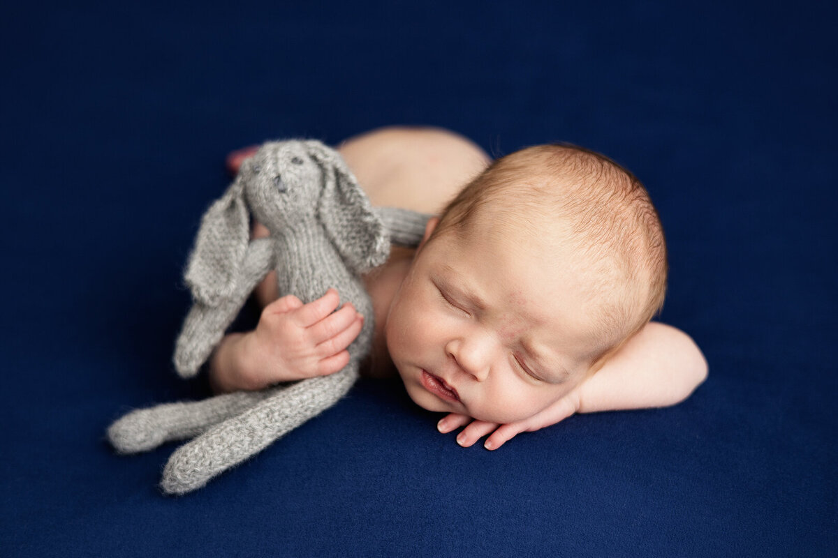 baby boy newborn blue rabbit teddy photography llanelli swansea gower carmarthen