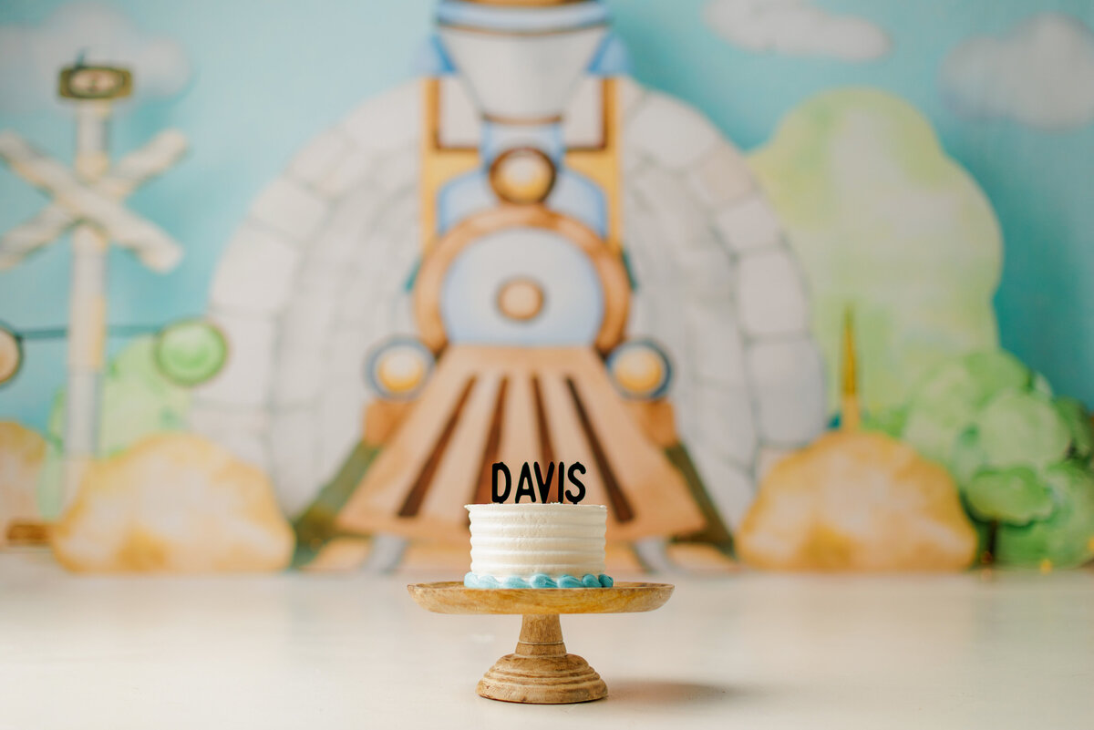 Huntsville AL Cake Smash Photographer