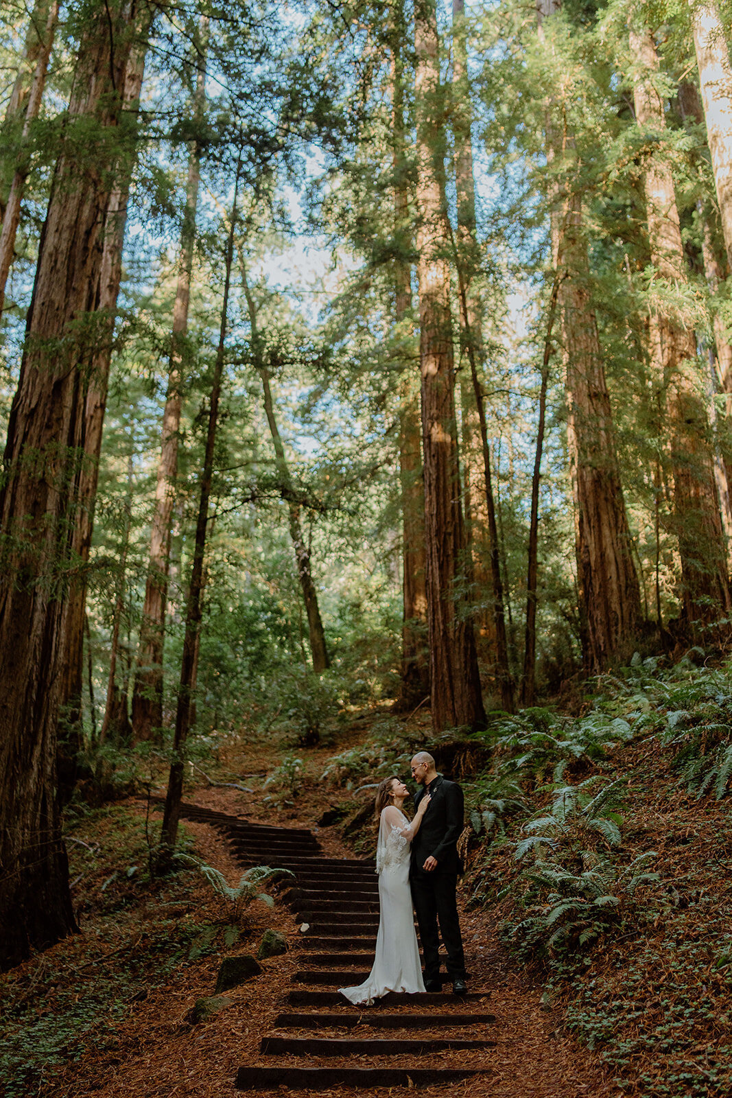 035_Muir_Woods-Wedding-Elopement-Engagement-Photoshoot.JUG00553_websize