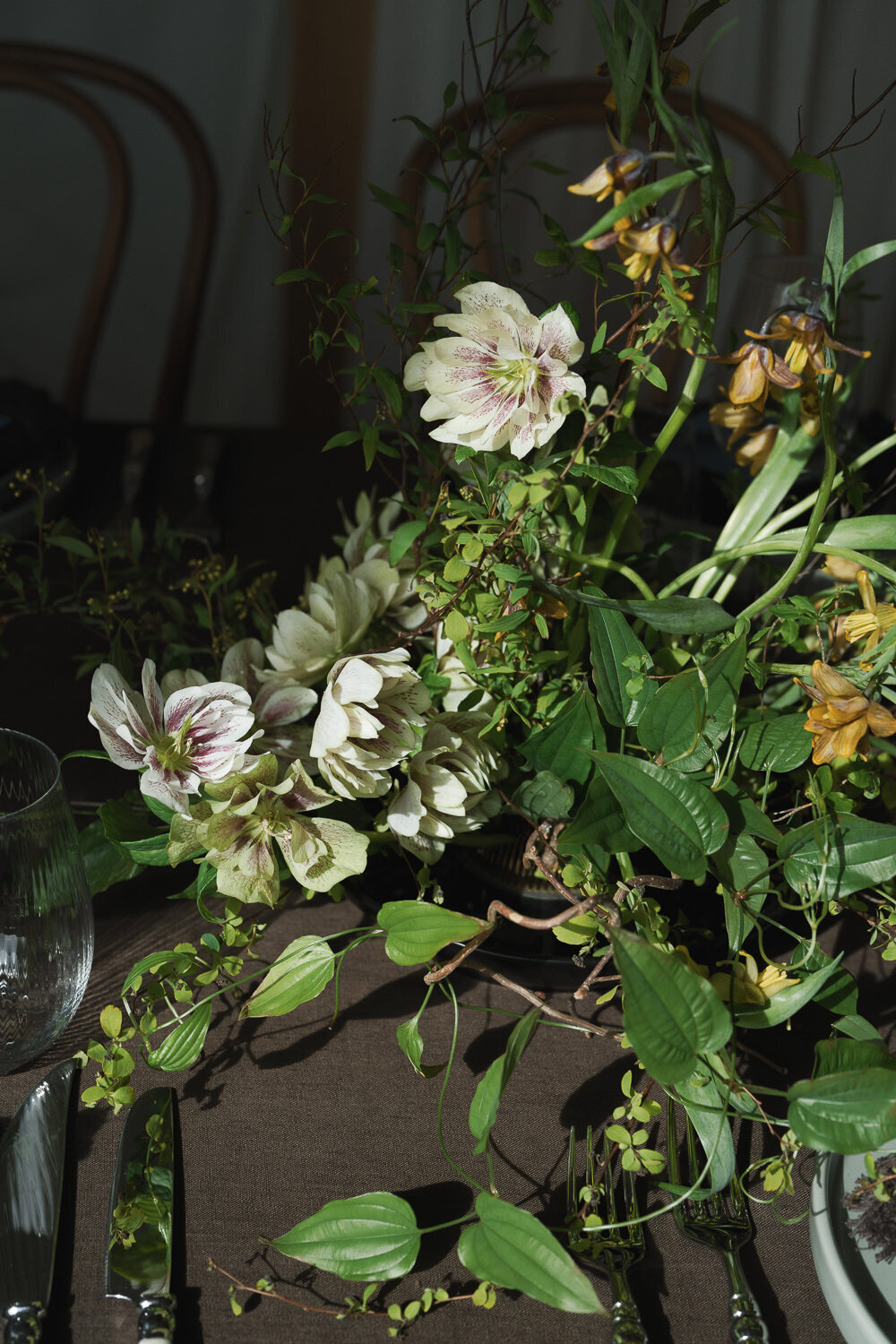wildflower-web--47