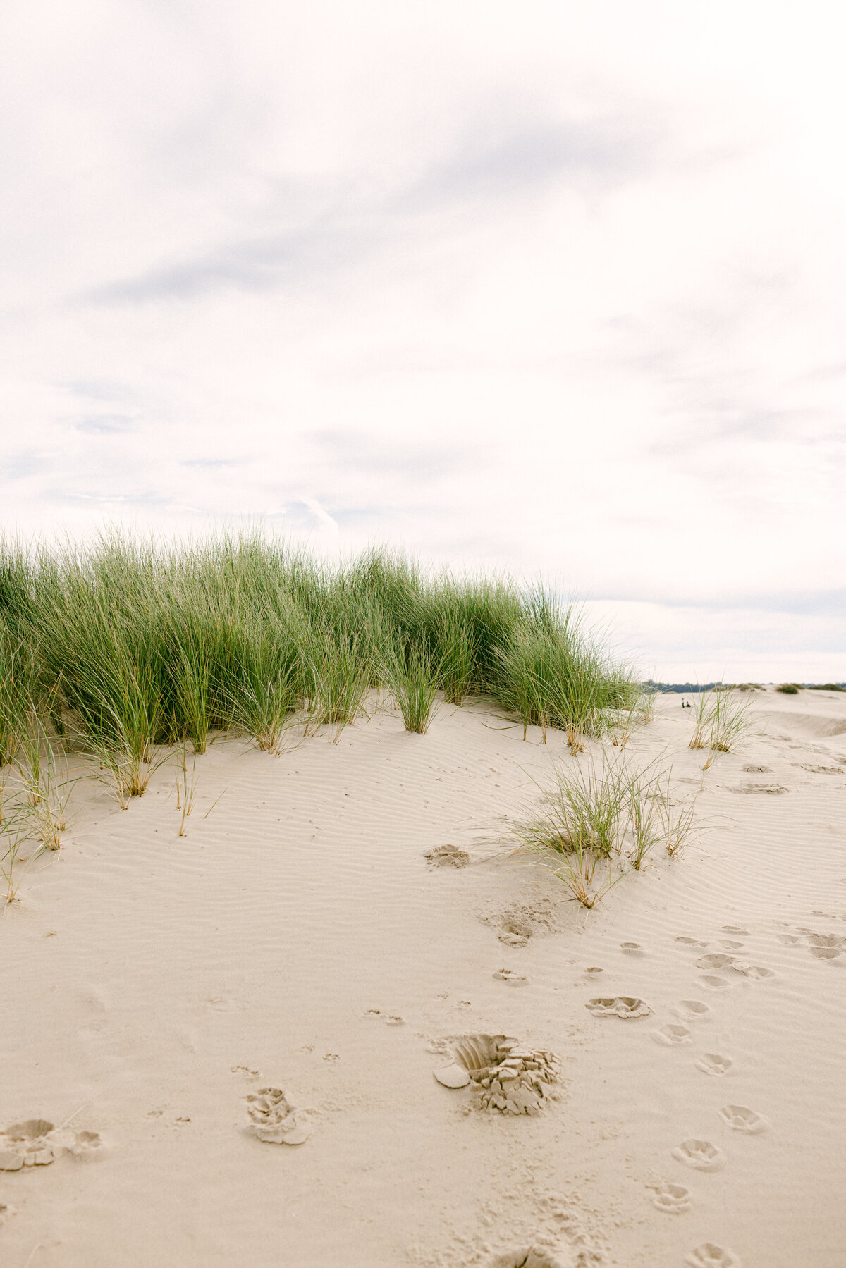 004CoastalDesertEditorialMarithaMae