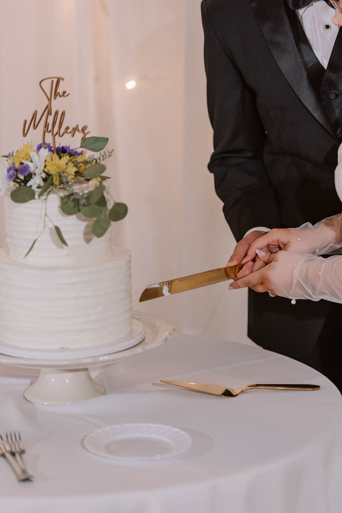 Savannah_and_Jonathan-2179