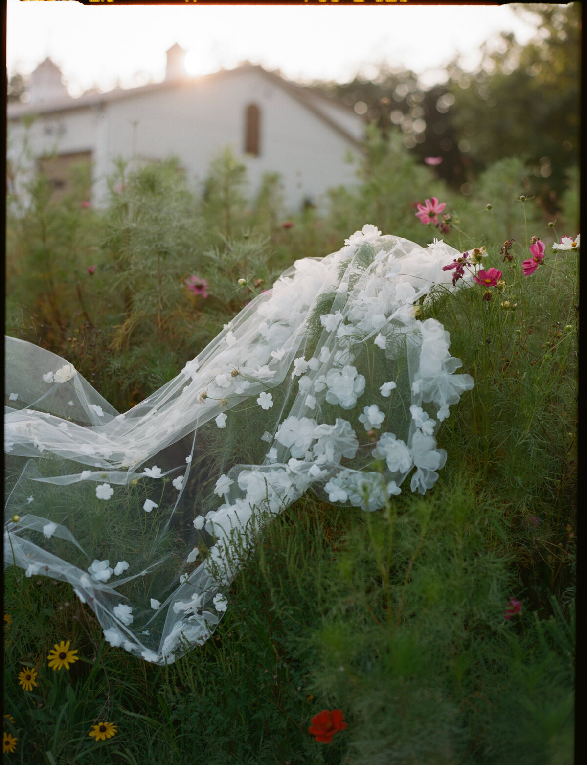 T + E Wedding x Nikki Daskalakis N - 122