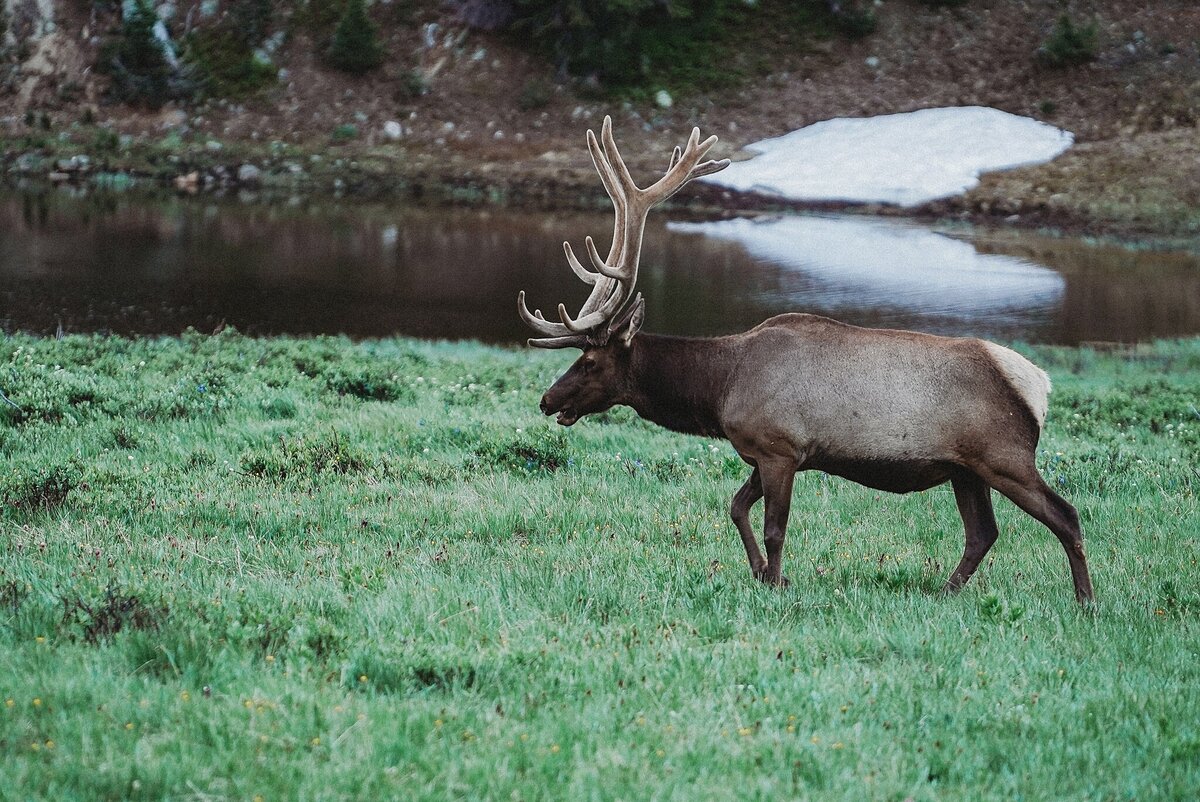 Rocky-Mountains-National-park_0413