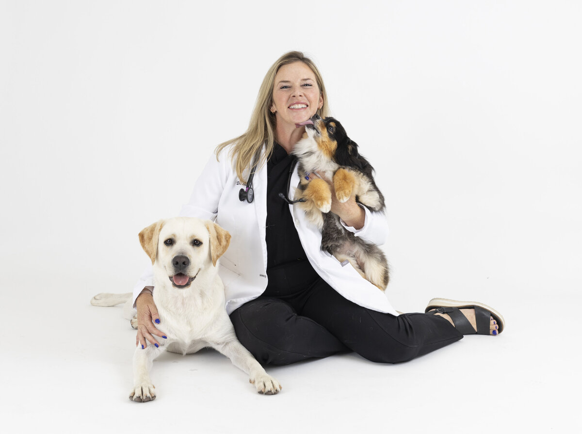 best sd pet photography copy