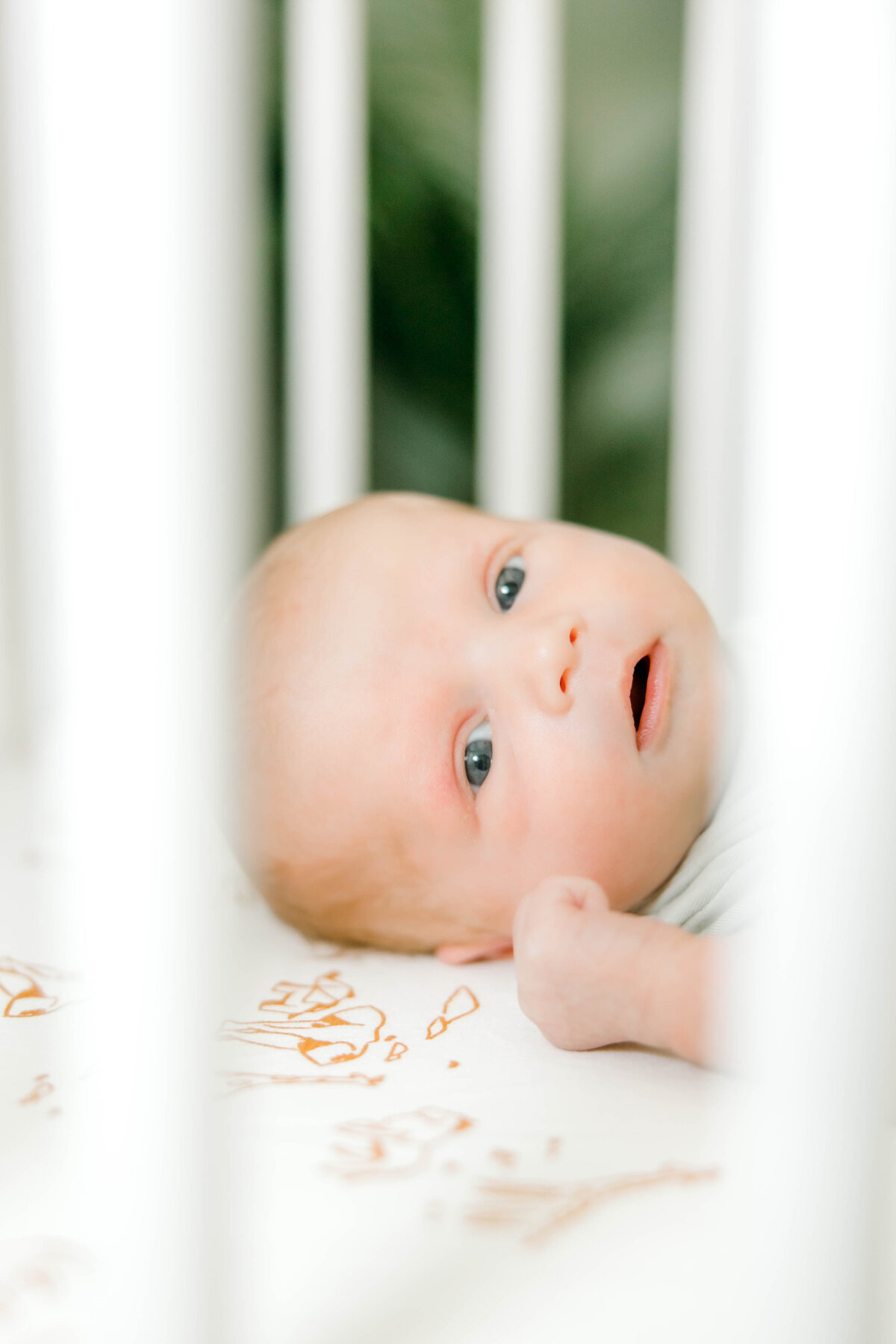 Powell Newborn-43