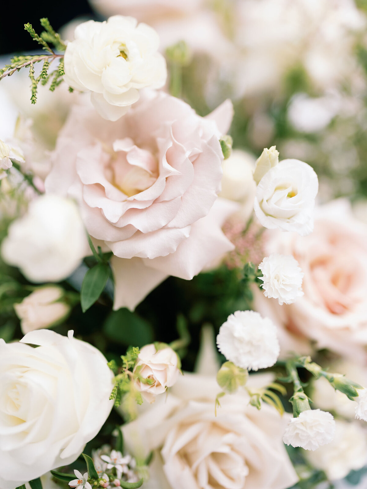 PhotobyMariaReva(184)