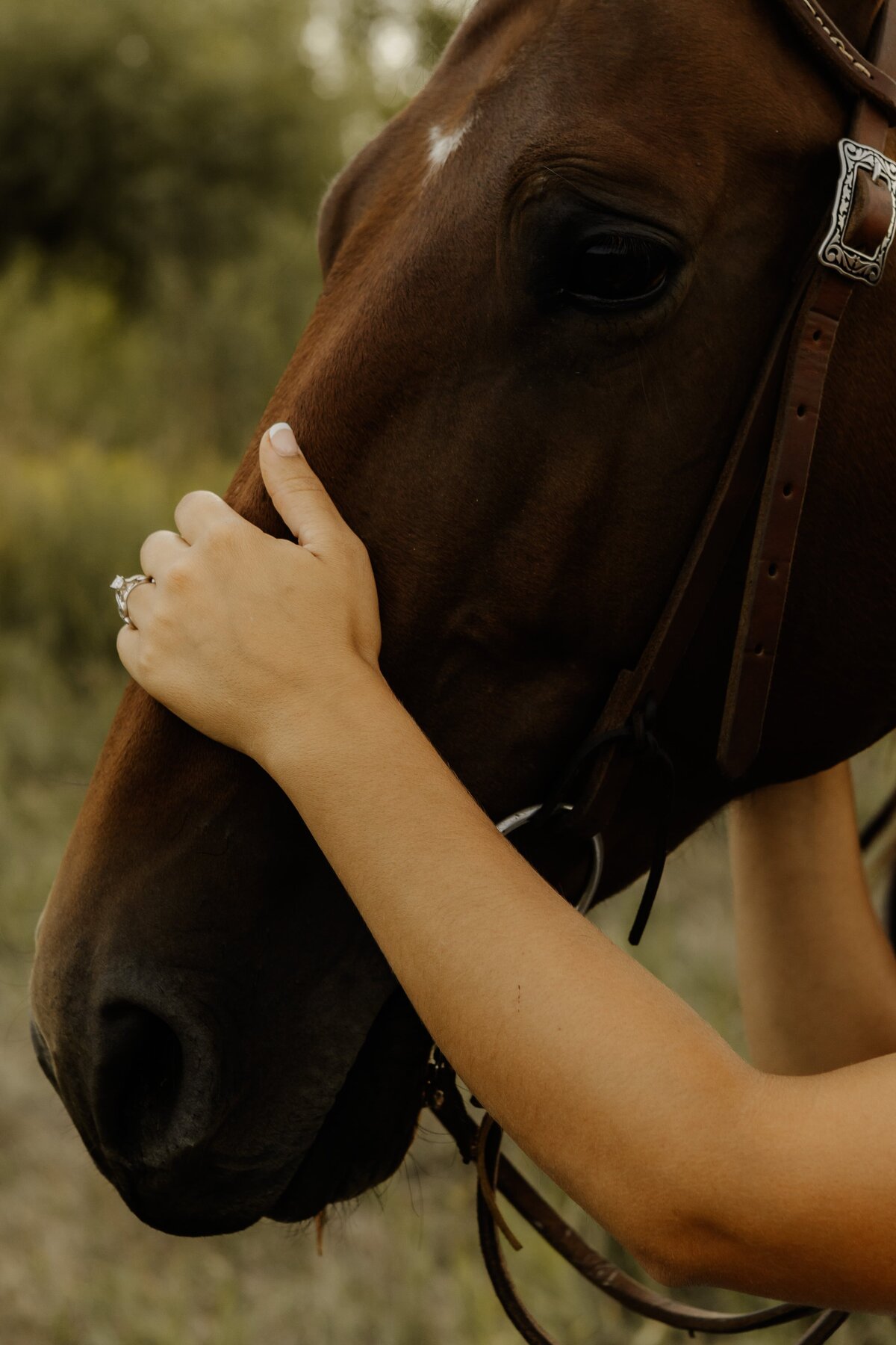 iowa-engagement-with-horses-4