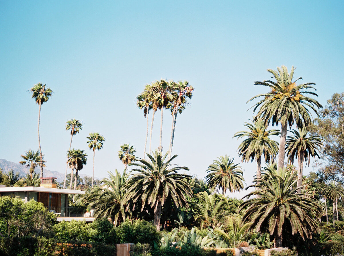 cali 21 film 6