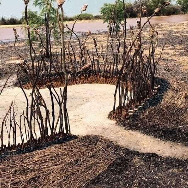 Champion Lakes Co-vid landart 2020